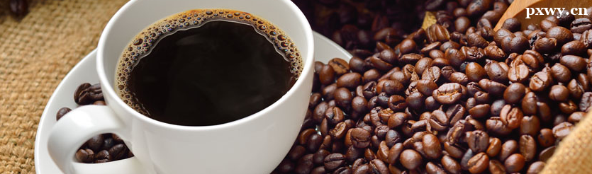 ���ݿ�����ѵ��������ע������