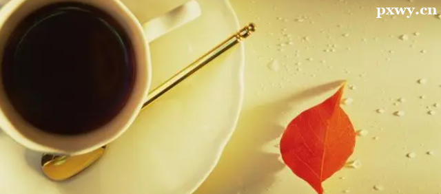 ���ݿ�����ѵѧУ��ʾ���ȵ����ý���