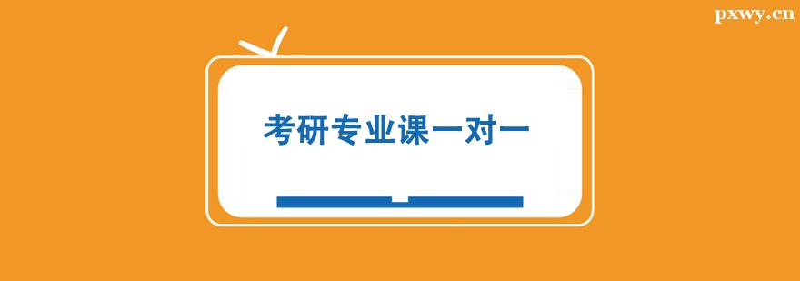 ����רҵ��һ��һ�����γ�