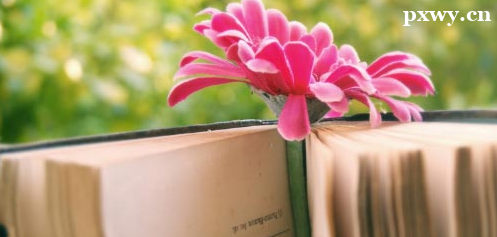 �Ͽ��и�������ʲô����