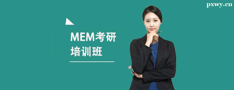 MEM������ѵ��