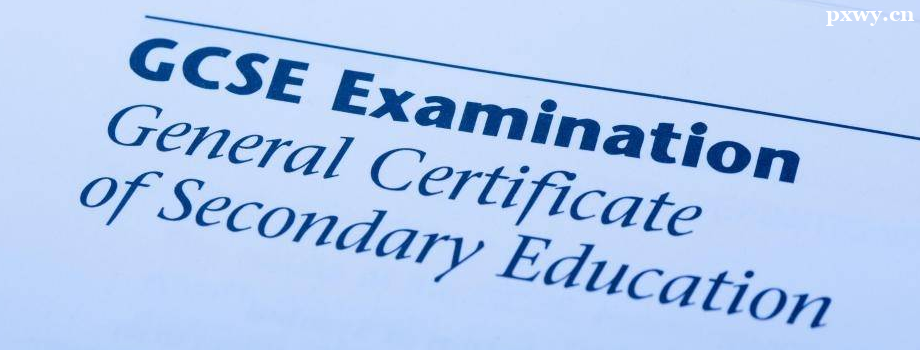 IGCSE�γ���ѵ