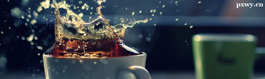 ���ݿ�����ѵ������ʦ������������