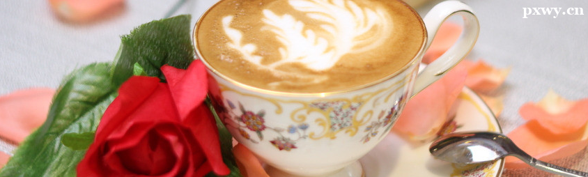 ���ݿ�����ѵèʺ������ô��