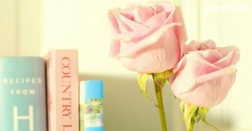 ��ͬ�����ε��տ������ѡ���ѧ