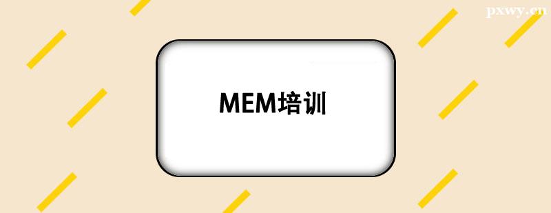 MEM��ѵ��