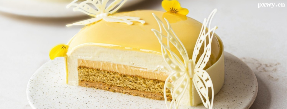 ����ѧ������ѵ�������