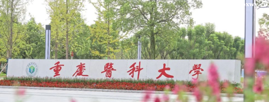 ����ҽ�ƴ�ѧ�����Ѷ�