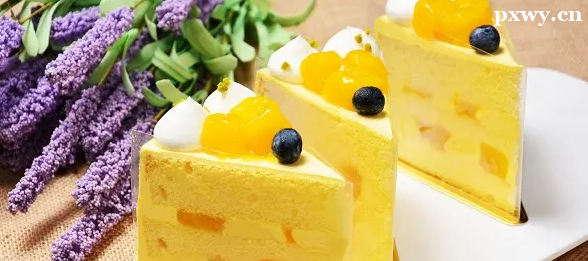 ���������ѵ����֧�������ѵ������ô��ѡ