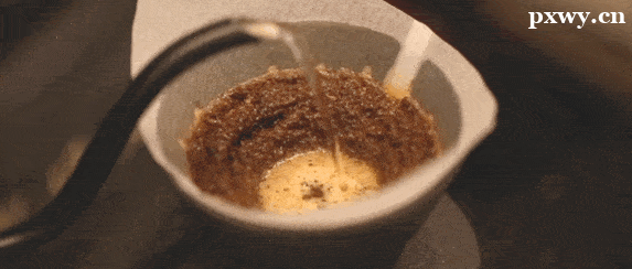 ���ݿ�����ѵ��èʺ���ȵ�Ҫ������Щ