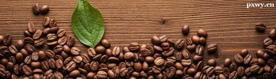 ���ݿ�����ѵ��ô���������ػ�ȿ���