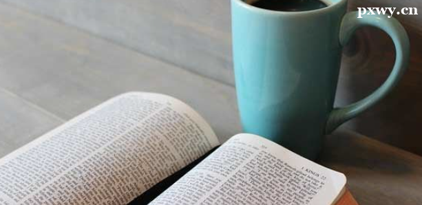 2023ͬ�ô�ѧ���з�����Ԥ��