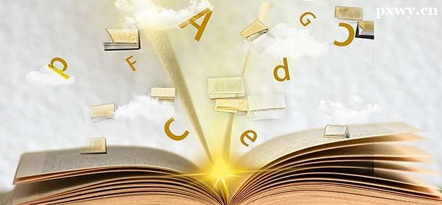 2023���д�Ŷ��ٷֹ���