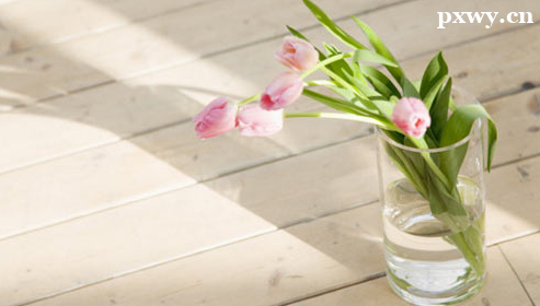 ����������ѧ��ʳ����Щ