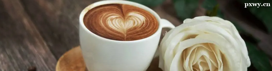 ���ݿ�����ѵ��ô�ȿ������