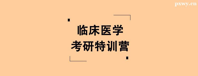�ٴ�ҽѧ������ѵӪ