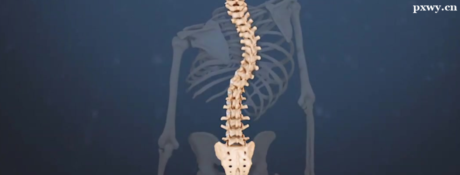 ��������������Ӱ������Щ