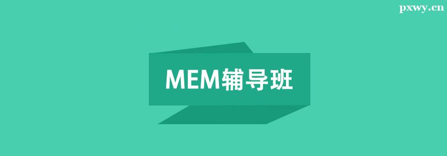 MEM������