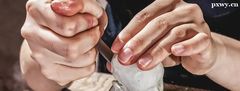 ��������רҵ���з���