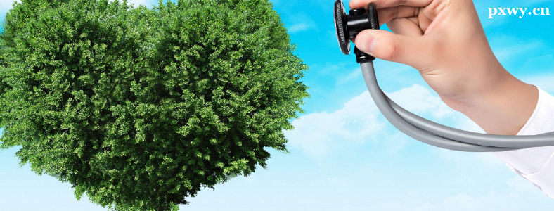 �����������������������