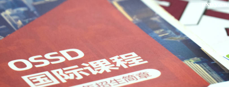 OSSD���ô���ƾ