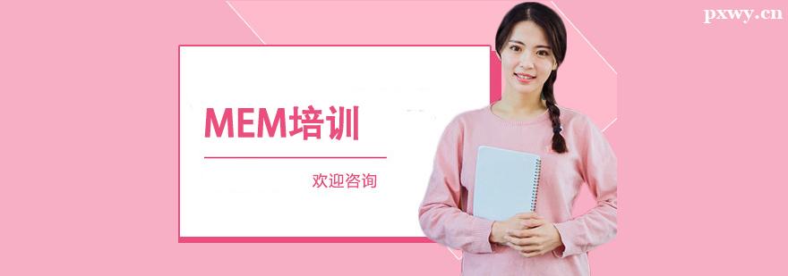 MEM��ѵ������