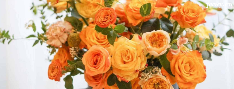 ѧ����һ��Ҫ����Ǯѧ��