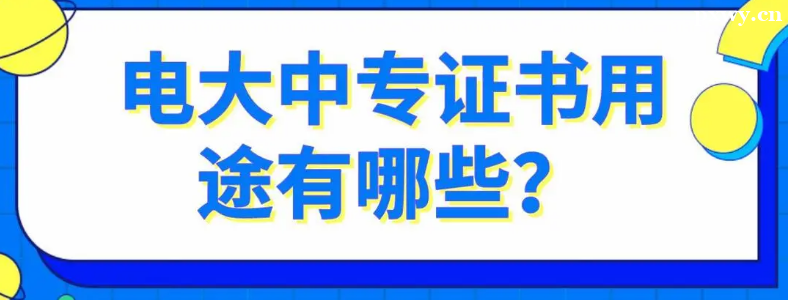 �����רѧ����ʲô��