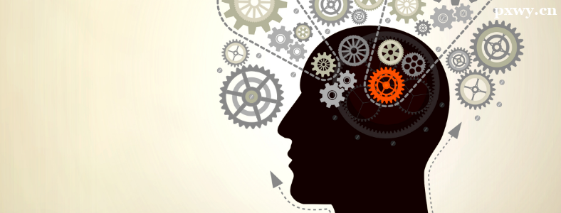 ��Ʒ������ѵ�γ�����Щ����