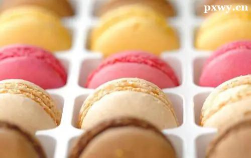 ������ѵ�඼ѧʲô����