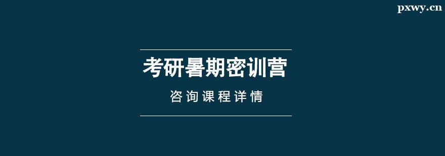 ����������ѵӪ