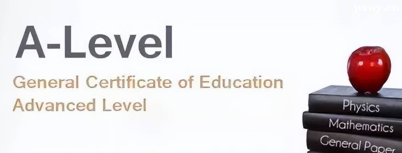 alevel������γ�