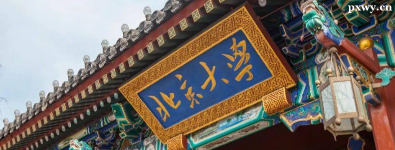 2023������ѧ���з�����