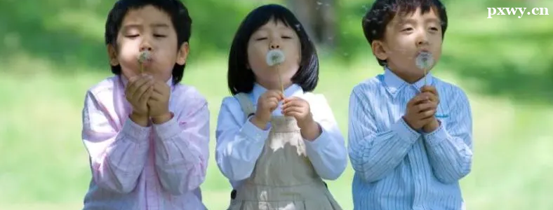 ѧǰ�����о���������