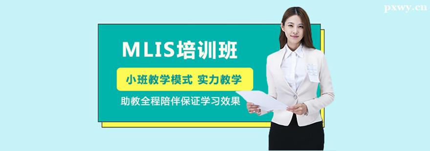 MLIS��ѵ��