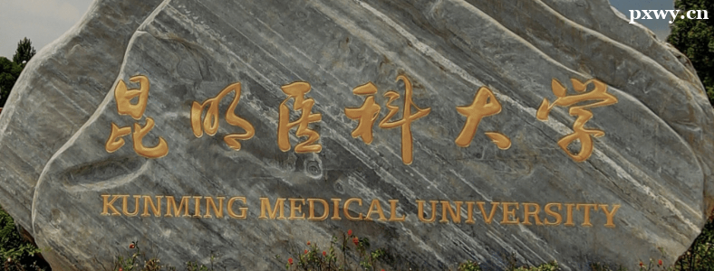 ����ҽ�ƴ�ѧ2023���о�������