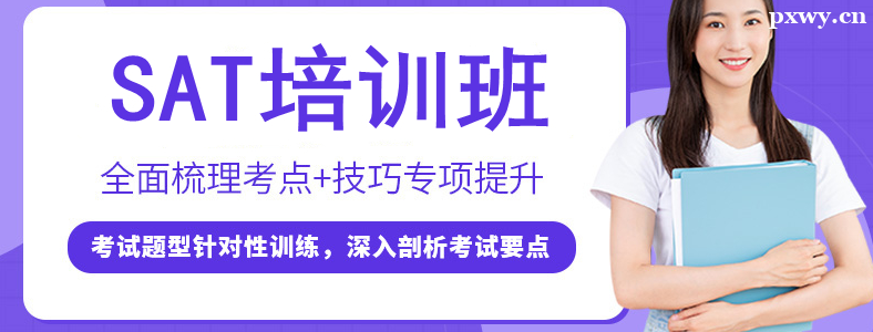 ���SAT��ѵ�������