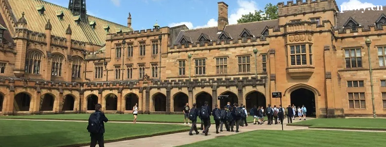 �Ĵ������о�����ѧ��Ҫ������