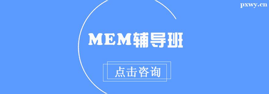 MEM������