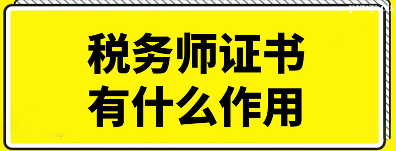 ��˰��ʦ֤������