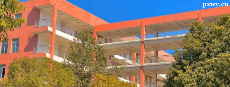 ����ȥ����ԺУ��ҵ��ʲô��ҵ֤