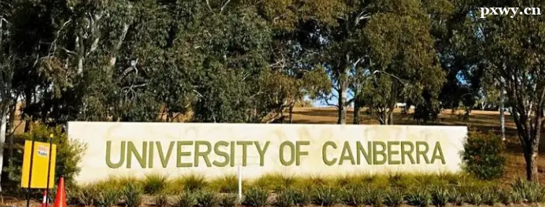 �Ĵ����ǿ���������Щ��ѧ