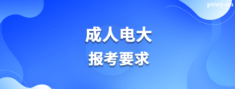 ����ר����Ҫ��