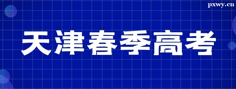 ��򴺿����������շ�