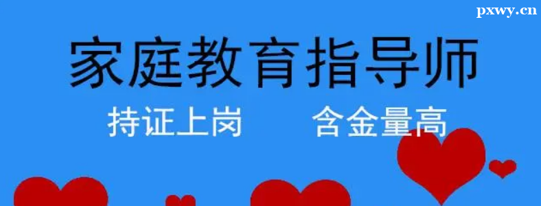 ��ͥ����ָ��ʦ֤��ʲô��;