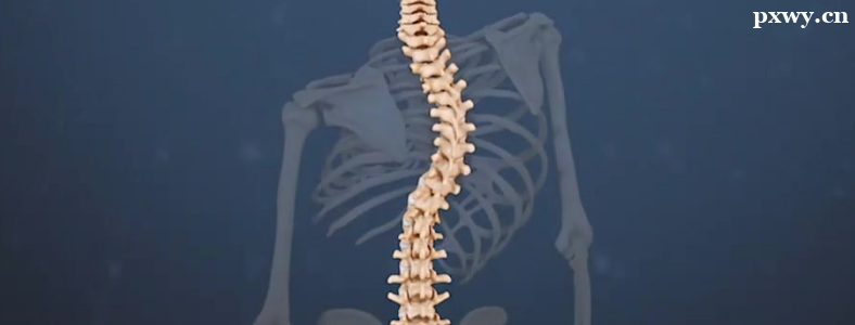 ������͹��Σ������Щ