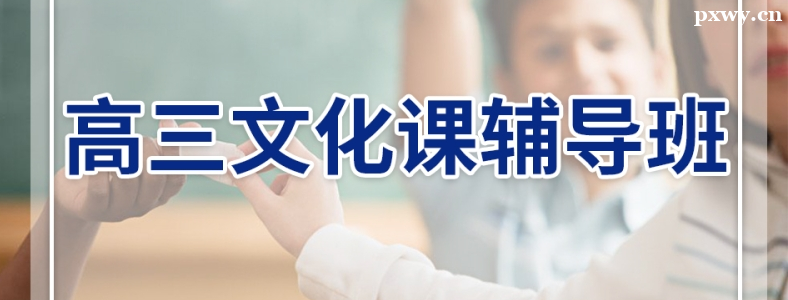 �����Ļ���������ôѧ