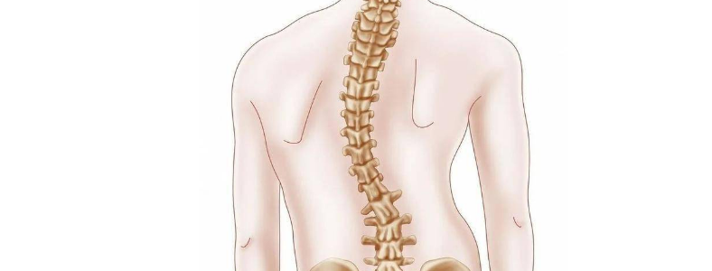 ������͹��ʲôΣ��