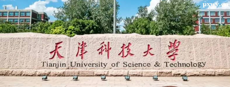 ������ĸ�ѧУ�ÿ�