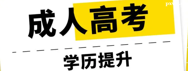 ���˸߿�������������